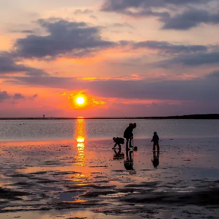 Vakantiehuis Westertill 01 *